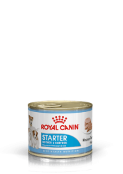 ROYAL CANIN BABYCAT MOUSSE 195 G